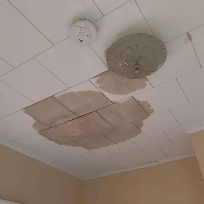 Ceiling Water Damage Repair in Hitchcock County, NE