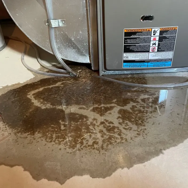 Pipe Burst and Leak Restoration in Hitchcock County, NE