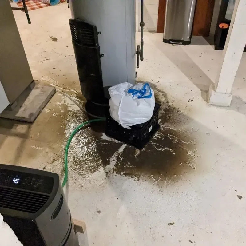 Sewage Backup Cleanup Service in Hitchcock County, NE